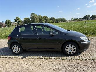 Peugeot 307 1.6-16V NAVTECH picture 15
