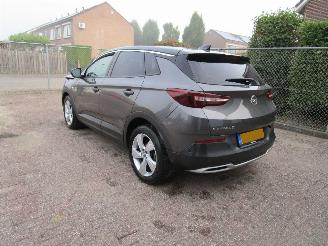 Opel Grandland X 1.2T Navi Panodak Clima Camera 6-Bak picture 2