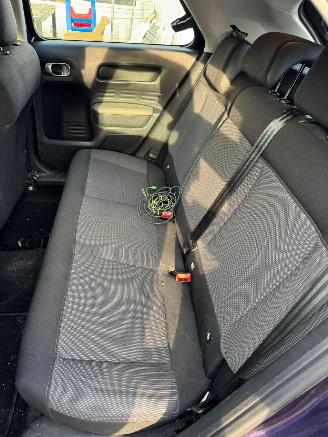 Citroën C4 cactus 1.2 PureTech Business 110.582 KM picture 12