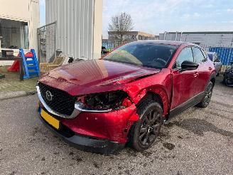 Auto incidentate Mazda CX-30 2.0 AUTOMAAT e-SkyActiv-X M Hybrid Homura BJ 2023 10319 KM 2023/6