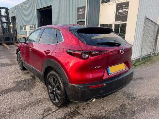 Mazda CX-30 2.0 AUTOMAAT e-SkyActiv-X M Hybrid Homura BJ 2023 10319 KM picture 3