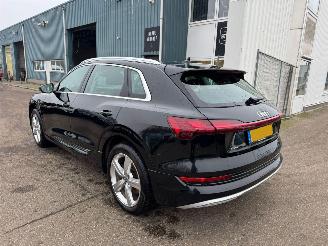 Audi E-tron e-tron 50 quattro Launch edition plus 71 kWh picture 3