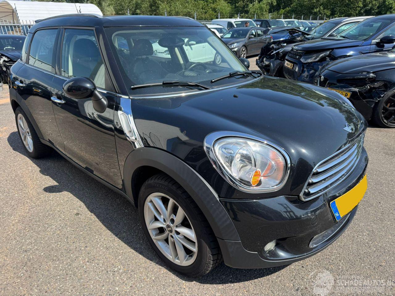 Mini Countryman One