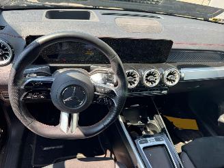 Mercedes EQB 300 4MATIC AMG Line 67 kWh picture 14