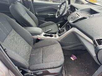 Ford Grand C-Max 1.6 EcoBoost Titanium 7p. picture 15