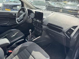 Ford EcoSport 1.0 EcoBoost Titanium picture 16