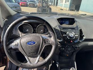 Ford EcoSport 1.0 EcoBoost Titanium picture 11
