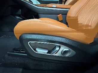 Xpeng G9 AWD Performance 98 kWh 551 PK picture 26