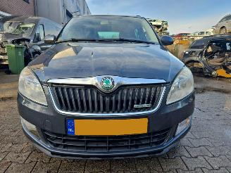 Schadeauto Skoda Fabia 1.2 tdi 2011/5