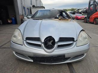 rozbiórka samochody osobowe Mercedes SLK SLK (R171), Cabrio, 2004 / 2011 1.8 200 K 16V 2007/4