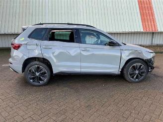 Skoda Karoq Karoq, SUV, 2017 2.0 TSI 4x4 picture 2