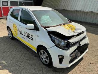 Kia Picanto Picanto (JA), Hatchback, 2017 1.0 DPi 12V picture 1