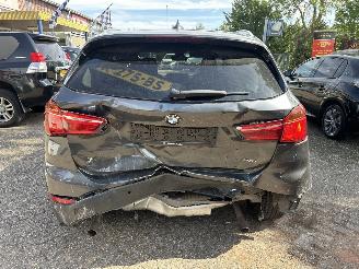 BMW X1 SDRIVE20I HIGH EXECUTIVE picture 5