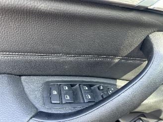 BMW X1 SDRIVE20I HIGH EXECUTIVE picture 13