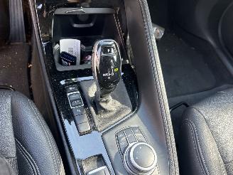 BMW X1 SDRIVE20I HIGH EXECUTIVE picture 11