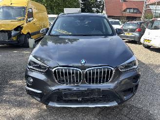 BMW X1 SDRIVE20I HIGH EXECUTIVE picture 6