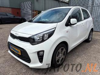 Kia Picanto Picanto (JA), Hatchback, 2017 1.0 DPi 12V picture 1