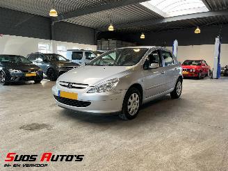 Vaurioauto  passenger cars Peugeot 307 1.6-16V XS Premium 2005/1
