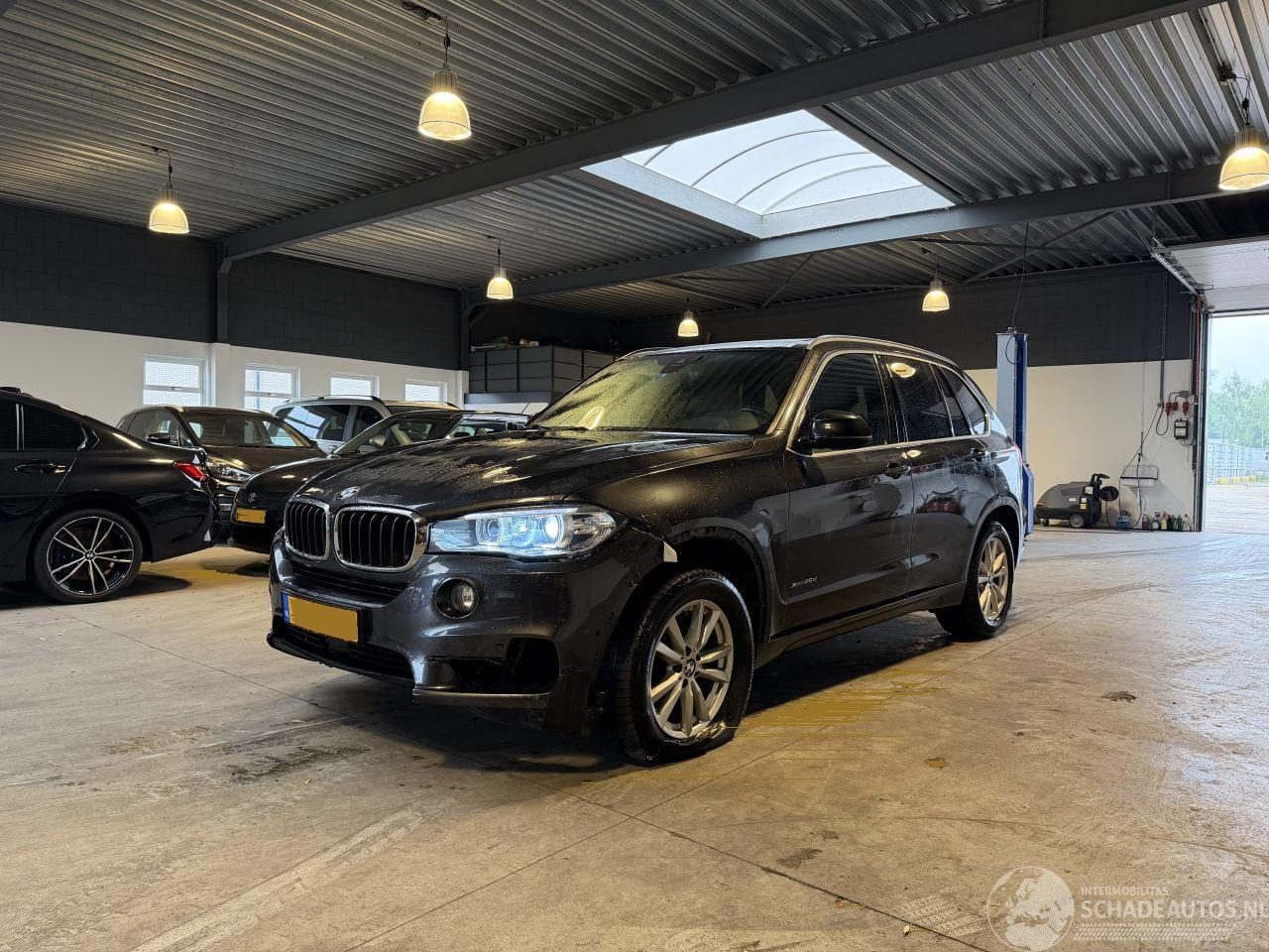 BMW X5 xDrive25d Centennial Executive