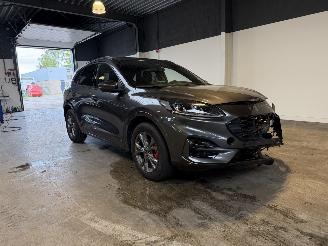 Ford Kuga 2.5 PHEV ST-Line Pano VOL! picture 7