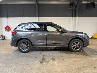 Ford Kuga 2.5 PHEV ST-Line Pano VOL! picture 6