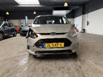 Ford B-Max 1.0 EcoBoost Titanium picture 8