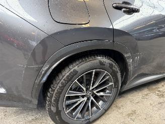 Lexus NX 450h+ AWD Luxury Line NAP! picture 15