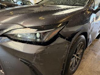 Lexus NX 450h+ AWD Luxury Line NAP! picture 10