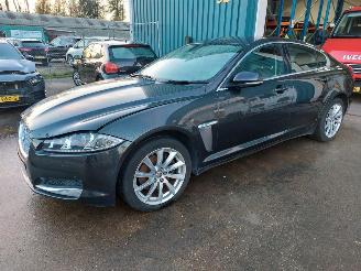 Avarii autoturisme Jaguar XF XF (CC9) Sedan 2.2 D S200 16V (224DT) [147kW] 2012/12