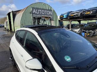 Ford Fiesta 1.0 Ecoboost 74KW Active Pano Clima Navi Led picture 17