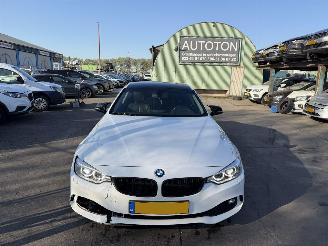 BMW 4-serie 420I 135KW Autom. Clima Navi Leer High Executive NAP picture 14