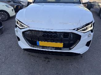 Audi E-tron 55 Quattro 95 kWh 408PK Advanced Pano Clima Navi Led Camera NAP picture 18