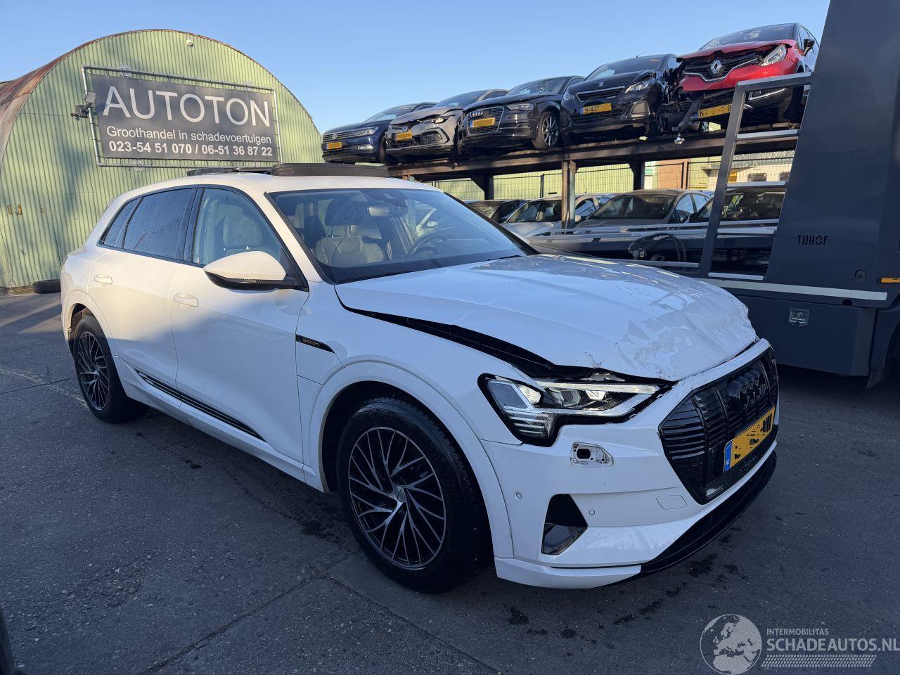 Audi E-tron 55 Quattro 95 kWh 408PK Advanced Pano Clima Navi Led Camera NAP