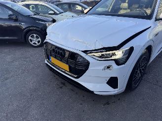 Audi E-tron 55 Quattro 95 kWh 408PK Advanced Pano Clima Navi Led Camera NAP picture 20