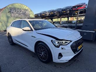 Unfallwagen Audi E-tron 55 Quattro 95 kWh 408PK Advanced Pano Clima Navi Led Camera NAP 2019/12