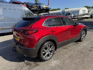 Mazda CX-30 2.0 e-SkyActiv-X Autom. 137KW M Hybrid Luxury Clima Navi Led NAP picture 4