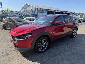 Mazda CX-30 2.0 e-SkyActiv-X Autom. 137KW M Hybrid Luxury Clima Navi Led NAP picture 2