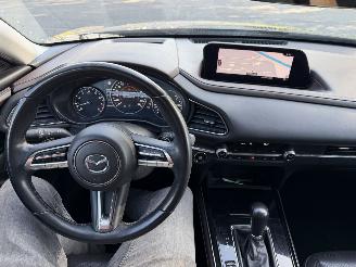 Mazda CX-30 2.0 e-Skyactiv-X 137KW M Hybrid Autom. Clima Navi Luxury HUD NAP picture 9