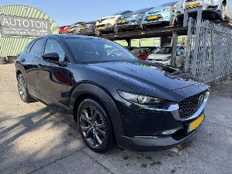 škoda osobní automobily Mazda CX-30 2.0 e-Skyactiv-X 137KW M Hybrid Autom. Clima Navi Luxury HUD NAP 2022/2