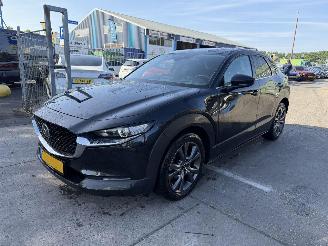 Mazda CX-30 2.0 e-Skyactiv-X 137KW M Hybrid Autom. Clima Navi Luxury HUD NAP picture 2