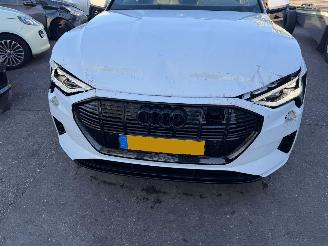 Audi E-tron 55 95 kWh 300KW Quattro Advanced Pano Clima Navi Led Xenon picture 19