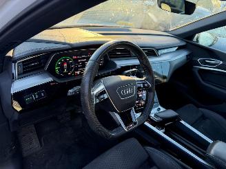 Audi E-tron 55 95 kWh 300KW Quattro Advanced Pano Clima Navi Led Xenon picture 7