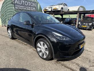 Damaged car Tesla Model Y 58 kWh 175KW RWD Clima Navi Pano NAP 2024/2