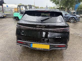 BYD SEAL 6 Touring 1.5 DM-i Autom. Pano Clima Navi Led Hybrid picture 6
