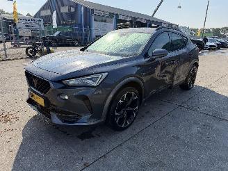 Voiture accidenté Cupra Formentor 1.4 e-Hybrid 150KW Autom Clima Navi Led Camera Performance 2022/3