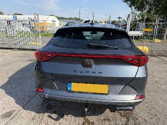 Cupra Formentor 1.4 e-Hybrid 150KW Autom Clima Navi Led Camera Performance picture 5