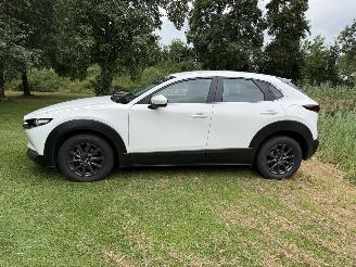 Mazda CX-30 2.5 Hybrid picture 2