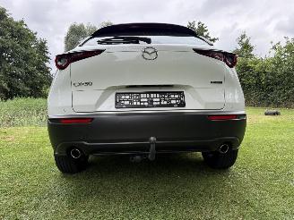 Mazda CX-30 2.5 Hybrid picture 33