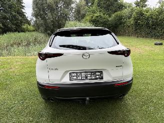 Mazda CX-30 2.5 Hybrid picture 4