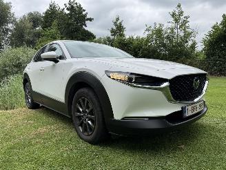 Mazda CX-30 2.5 Hybrid picture 39